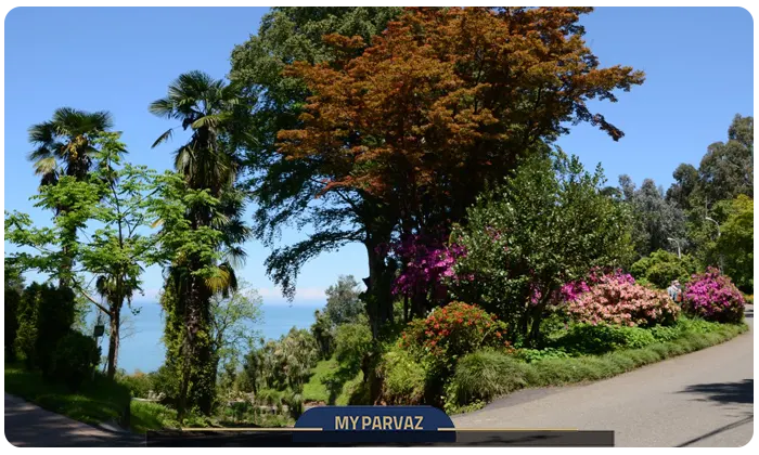 Batumi Botanical Garden